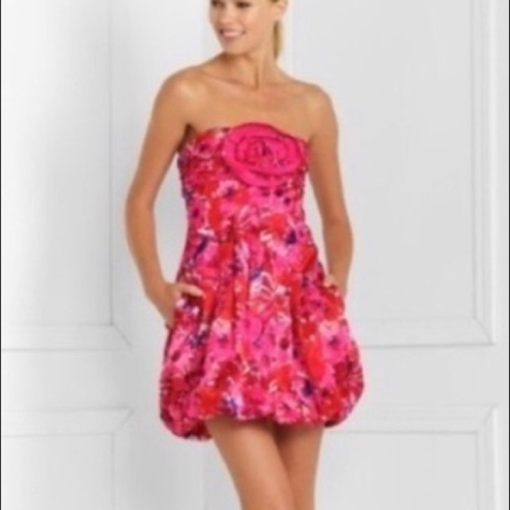 NWT BCBGMaxAzria Begonia Floral Bubble Dress